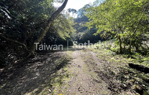 台北文山區萬坪森空間土地現場實景